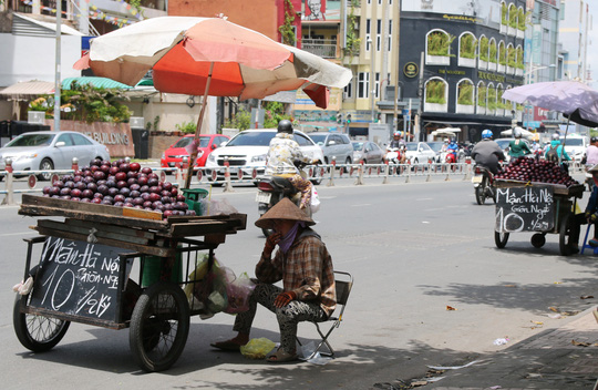 1 man ha noi