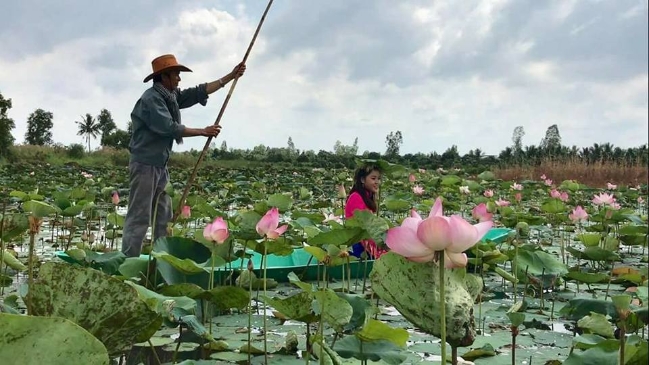 hoa sen dong thap tapchithoidai