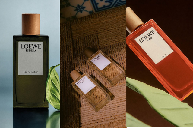LOEWE 19 6 1