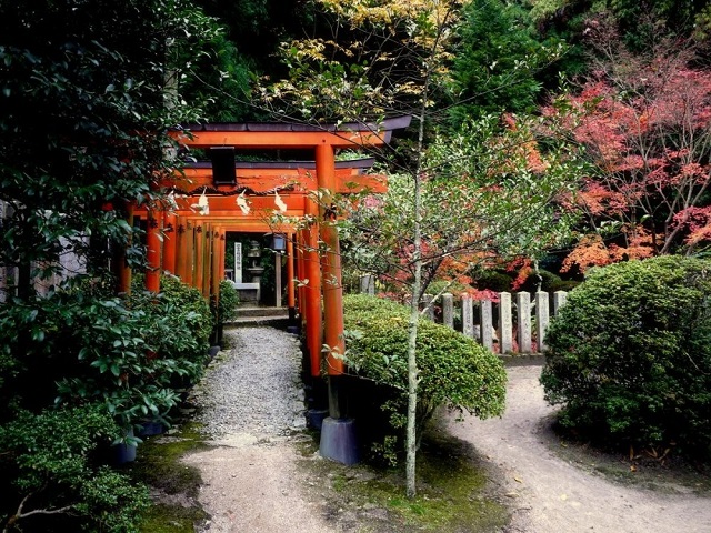 nara hitokunushi shrine