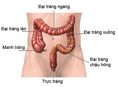 5 dau hieu som cua benh ung thu truc trang