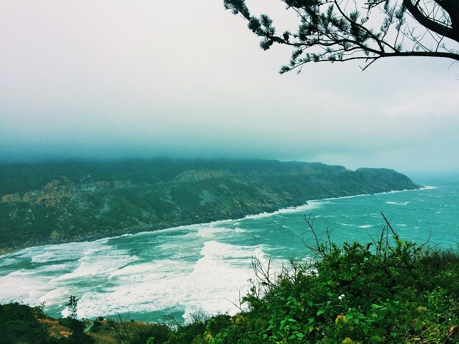 phu yen dep hon sau toi thay hoa vang tren co xanh