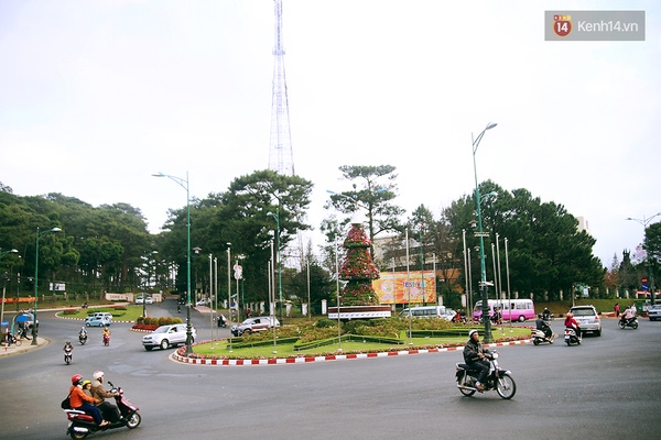 thanh pho da lat khong he co den xanh den do toancanhbaochi.net