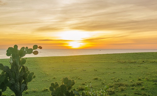 ghe tham phu yen tapchithoidai