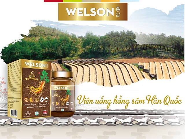 Welson ginseng hong sam han quoc 2