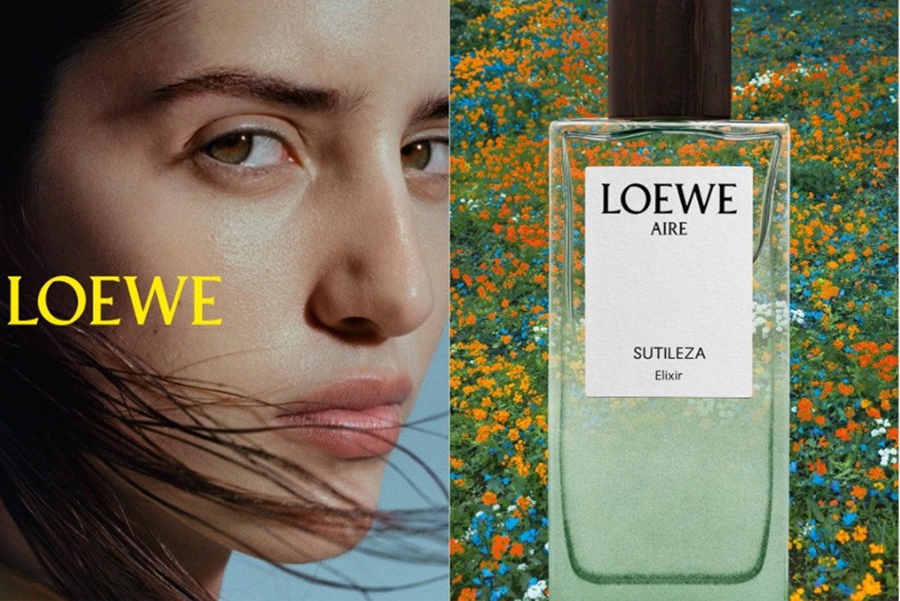 loewe 18 91