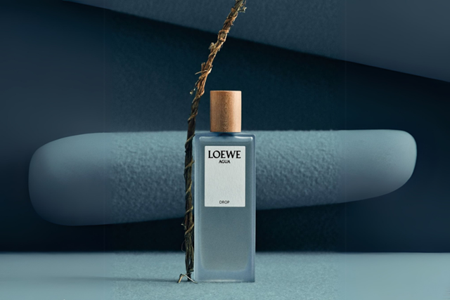 loewe 11 3